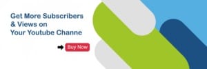 How to See Your Subscribers on YouTube - Lead Form