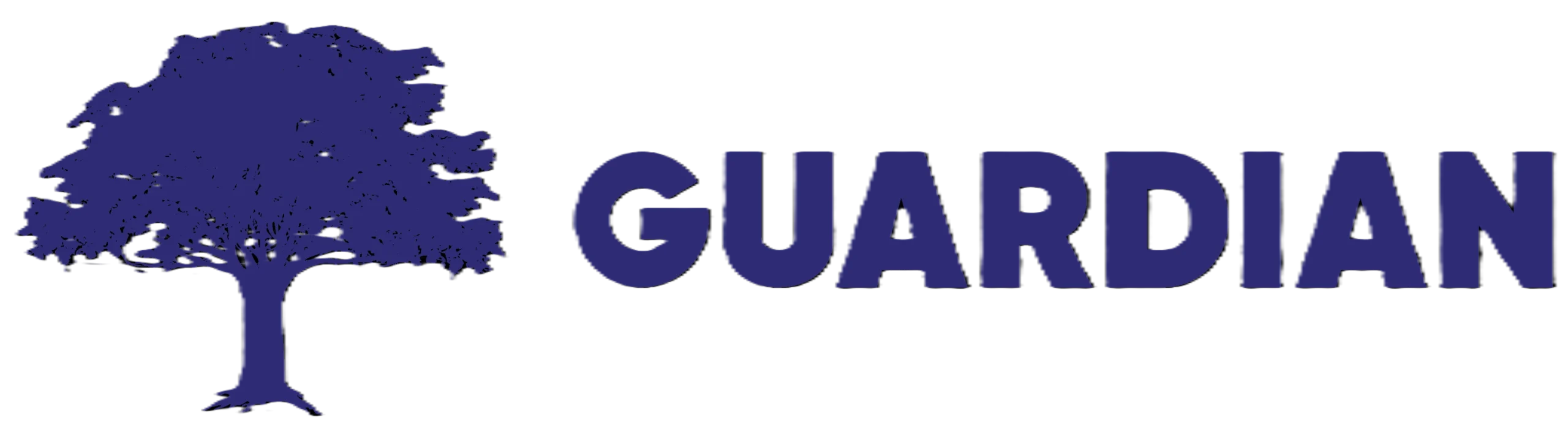 The Daily Guardian logo, SEOviser SEO client